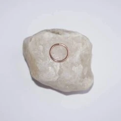 Pretty And Discreet Nose Ring Nose Hoop Tragus Ring, Christmas Gift, Endless Nose Hoop Rose Gold Nose Ring Thin Nose Ring 20g Nose Ring Hoop 8 Pretty And Discreet Nose Ring Nose Hoop Tragus Ring, Christmas Gift, Endless Nose Hoop Rose Gold Nose Ring Thin Nose Ring 20g Nose Ring Hoop -Jewellery Paradise il fullxfull.1212541019 2hjl