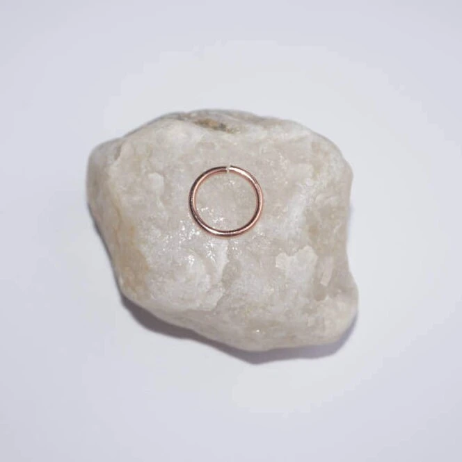 Pretty And Discreet Nose Ring Nose Hoop Tragus Ring, Christmas Gift, Endless Nose Hoop Rose Gold Nose Ring Thin Nose Ring 20g Nose Ring Hoop 5 Pretty And Discreet Nose Ring Nose Hoop Tragus Ring, Christmas Gift, Endless Nose Hoop Rose Gold Nose Ring Thin Nose Ring 20g Nose Ring Hoop - Image 3