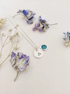 Personalised Birthstone, Initial Necklace, Birthstone Necklace, Silver Necklace, Personalised, Birthday Gift, Gift For Her, Christmas Gift 11 Personalised Birthstone, Initial Necklace, Birthstone Necklace, Silver Necklace, Personalised, Birthday Gift, Gift For Her, Christmas Gift -Jewellery Paradise il fullxfull.2635368858 cjr3