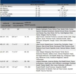 Long Sleeve Personalised Family Matching Christmas Pyjamas LAST DAY To ORDER - 26TH November 21 Long Sleeve Personalised Family Matching Christmas Pyjamas LAST DAY To ORDER - 26TH November -Jewellery Paradise il fullxfull.3361578543 mt4m