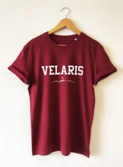 Velaris City Of Starlight Unisex T-shirt Shirt Water Based Eco Ink Unisex Peta Vegan ACOTAR Sarah J Maas Night Court Bookish Christmas Gift -Jewellery Paradise il fullxfull.3428137539 i0dt