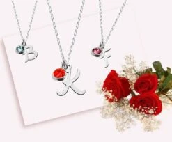 Personalised Birthstone, Initial Necklace, Birthstone Necklace, Silver Necklace, Personalised, Birthday Gift, Gift For Her, Christmas Gift 10 Personalised Birthstone, Initial Necklace, Birthstone Necklace, Silver Necklace, Personalised, Birthday Gift, Gift For Her, Christmas Gift -Jewellery Paradise il fullxfull.3663080772 ef92