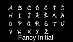 Personalised Birthstone, Initial Necklace, Birthstone Necklace, Silver Necklace, Personalised, Birthday Gift, Gift For Her, Christmas Gift 14 Personalised Birthstone, Initial Necklace, Birthstone Necklace, Silver Necklace, Personalised, Birthday Gift, Gift For Her, Christmas Gift -Jewellery Paradise il fullxfull.3696806055 mu12