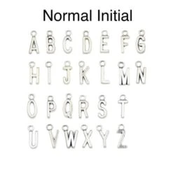 Personalised Birthstone, Initial Necklace, Birthstone Necklace, Silver Necklace, Personalised, Birthday Gift, Gift For Her, Christmas Gift 13 Personalised Birthstone, Initial Necklace, Birthstone Necklace, Silver Necklace, Personalised, Birthday Gift, Gift For Her, Christmas Gift -Jewellery Paradise il fullxfull.3696806073 hqad