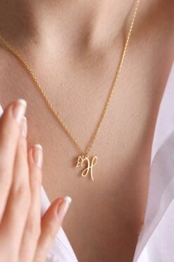 14k Gold Initial Necklace With Butterfly , Initial Necklace , Personalized Necklace , Letter Necklace, Christmas Gift ,Butterfly Necklace -Jewellery Paradise il fullxfull.3702112400 bbjv