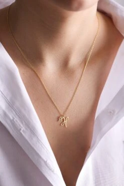 14k Gold Initial Necklace With Butterfly , Initial Necklace , Personalized Necklace , Letter Necklace, Christmas Gift ,Butterfly Necklace