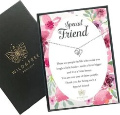 Friend Necklace Jewellery Gift Present With Special Thoughtful Words And Beautiful Gift Box Perfect For Birthday Or Christmas