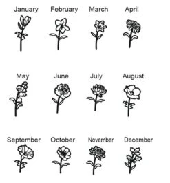 Sterling Silver Signature Tiny Birthflower Name Necklace With Zircon Birthstone, Wildflower Dainty Minimalist Nameplate Christmas Gift -Jewellery Paradise il fullxfull.3953702561 10wm