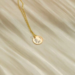 Personalized Birth Flower Disc Necklace, Month Floral Charm Name Necklace, Floral Necklace, Birthday Christmas Bridesmaid Gift For Her/Mom 12 Personalized Birth Flower Disc Necklace, Month Floral Charm Name Necklace, Floral Necklace, Birthday Christmas Bridesmaid Gift For Her/Mom -Jewellery Paradise il fullxfull.4424315056 7no2